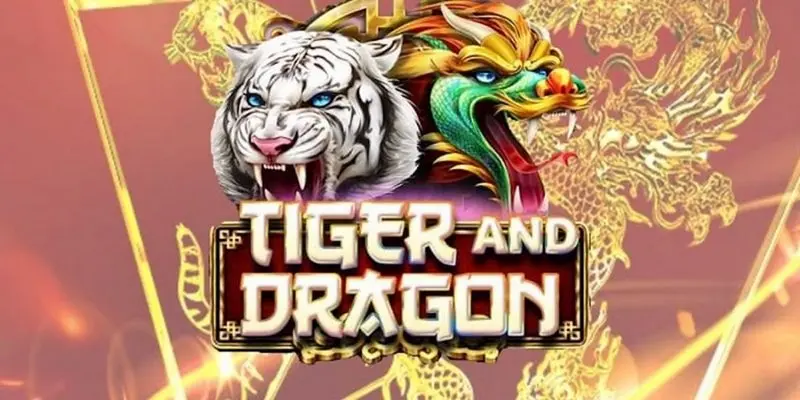 What is a Dragon Tiger?